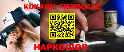 крисы Славянск-на-Кубани