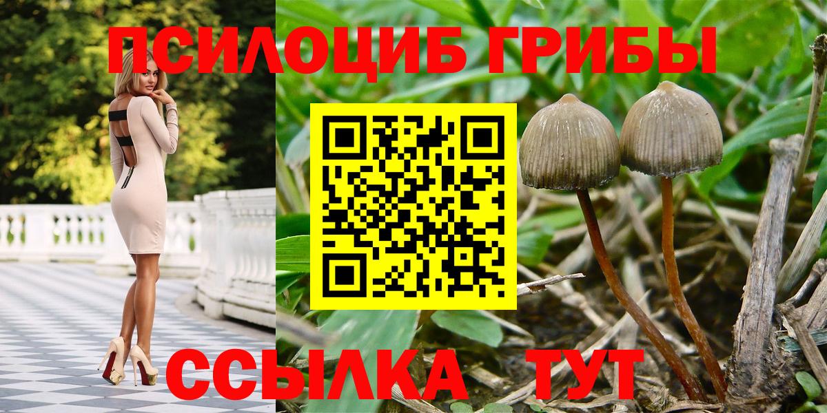 Галлюциногенные грибы MAGIC MUSHROOMS Отрадный